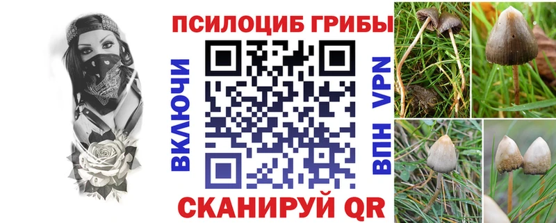 OMG рабочий сайт  Иркутск  Галлюциногенные грибы Magic Shrooms 